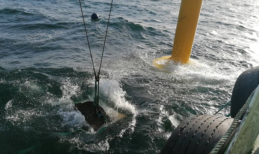 Inspección de buques